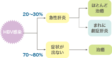 HBV感染後、20〜30%は急性肝炎を発症。ほとんど治癒するがまれに劇症肝炎を発症。70〜80%は症状が出ず治癒する。